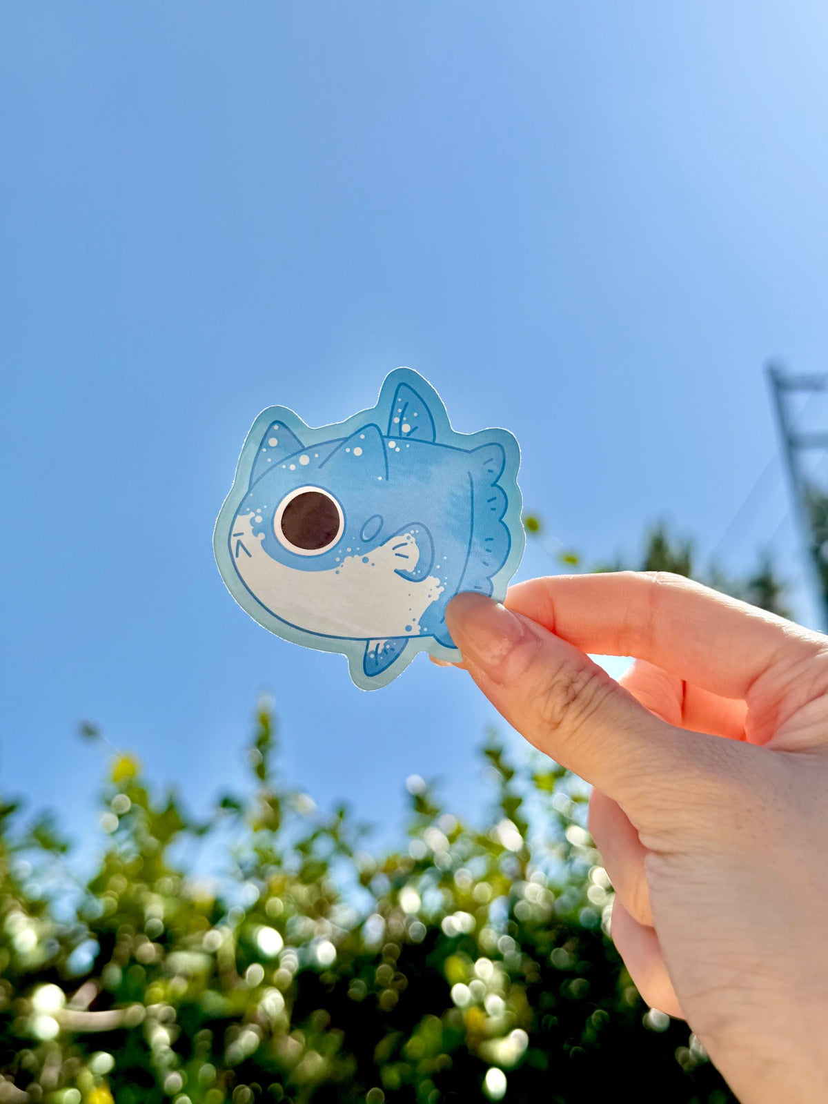 Mola Mola Cat Vinyl Sticker | Sunfish Kitty Sticker | 3 inch | Waterproof & Fade-Resistant