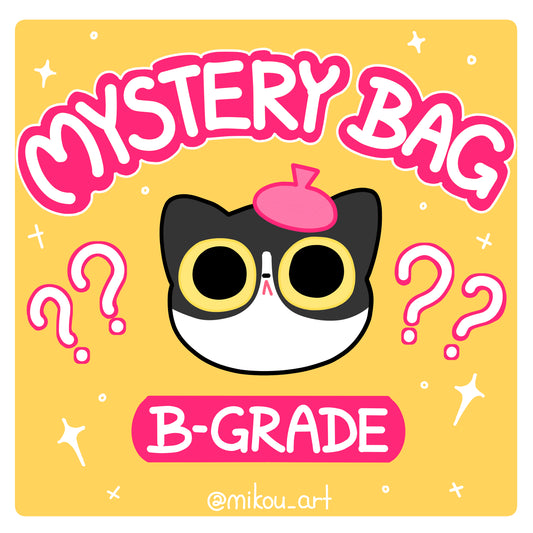 B-Grade Mystery Bag